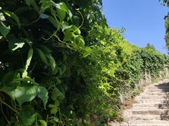 -香山公园