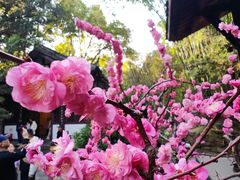 -成都杜甫草堂博物馆