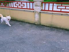 -乌龙涧铁道铁轨景