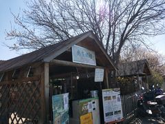 -尚庄度假村·庭台树下·户外烧烤·团建CS·轰趴营地(上庄水库店)