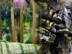 -梭布垭石林景区