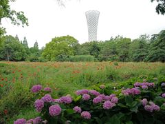 -上海滨江森林公园