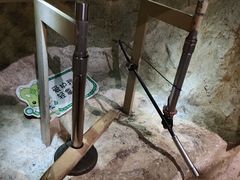 -正佳自然科学博物馆
