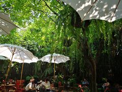 -Fern Forest Cafe