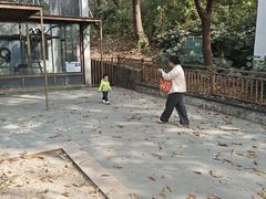 -合肥野生动物园