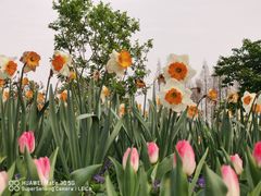 -上海辰山植物园