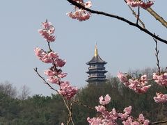 -重庆园博园