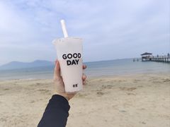-汕尾风车岛