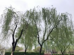 -大宁公园