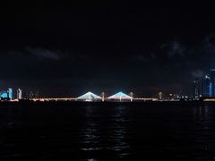 -武汉关码头(轮渡站)