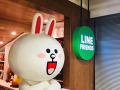 -line friends(明洞旗舰店)