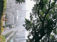 -板樟山森林公园