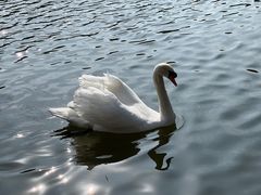 -杭州野生动物世界