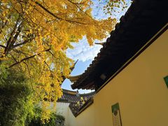 -西园戒幢律寺