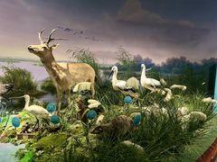 -湖南省地质博物馆