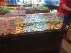 水产区-广东道至正餐厅(区庄店)