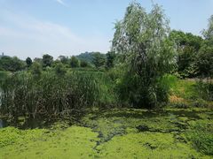 -山水间小院