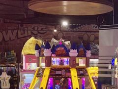 -大鲁阁保龄球(苏州园区店)