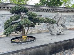 -慈城古县城景区