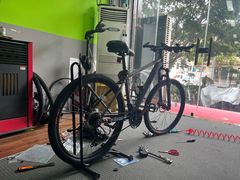 -道路口单车爱瓦士dahon大行