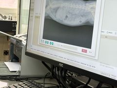 -爱侣宠医·鹦鹉专科·小型哺乳类·异宠专科(灵石路店)