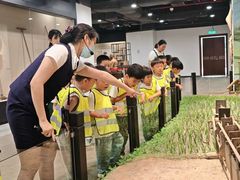 -加蒙特森林幼儿园(广州市增城区店)