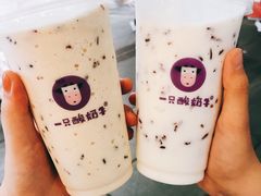 -一只酸奶牛(八一路店)