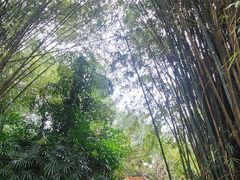 -广州兰圃