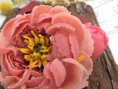 -美斯烘焙培训学院•蛋糕•面包•咖啡(宝安校区)