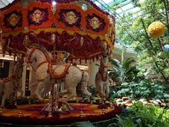 -拉斯维加斯永利酒店