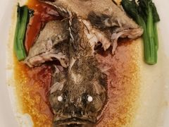 清蒸龙趸鱼-顺峰(农展馆店)