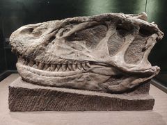 -自贡恐龙博物馆