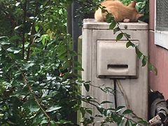 -丸来玩趣(品尊和美广场店)