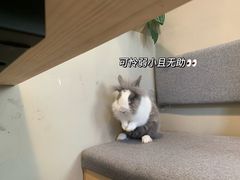 -小意思咖啡店(草桥店)