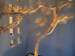 -春熙台韩国料理·章鱼肥牛(西丽店)