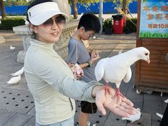 -天津妈祖文化园