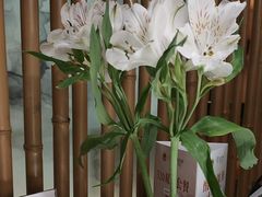 -淮扬府·游园京梦(北京SKP店)