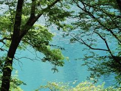 -叠溪松坪沟景区