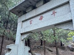 -泰山风景名胜区