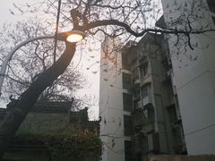 -颐而康按摩(八一桥总店)