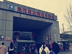 -武汉关码头(轮渡站)