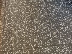 -洪氏嗨捞·猪肚鸡火锅(阳光天地店)