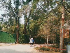-森林公园(尖草坪区)