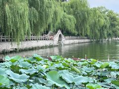 -济南大明湖景区
