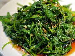 地瓜叶-佬肥猫(国华广场店)