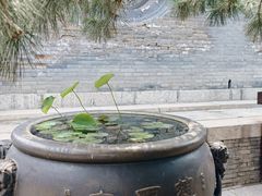 -慈恩寺