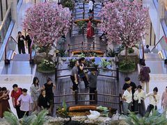 -大嘻咹biangbiang面(历史博物馆店)