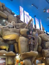 -卡通尼·Safari非洲探索乐园·生日会(金桥国际商业广场店)