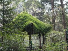 -青城山