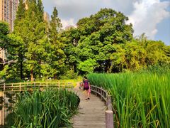 -成都市活水公园